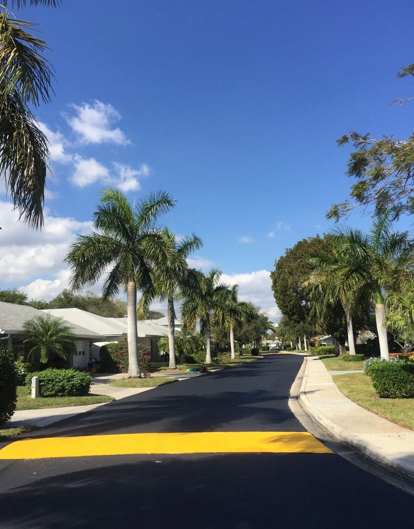 Street lined with palm trees under a bright blue sky with white clouds.