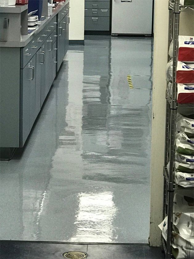 A shiny, polished tan tile floor with occasional dark square accent tiles and reflections of ceiling lights.