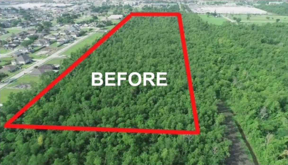 Before land clearing