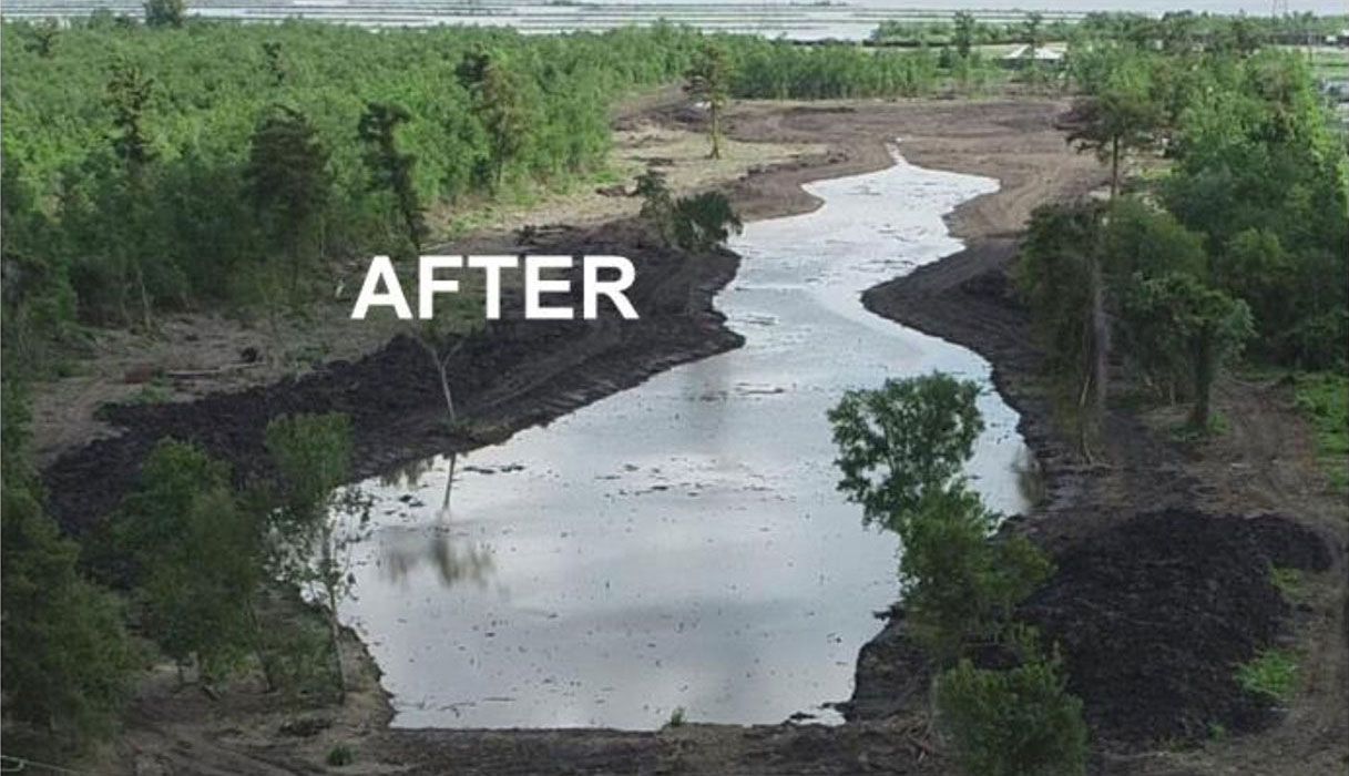 After land clearing
