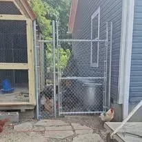 Chicken coop and fence with a white and brown chicken near a building.