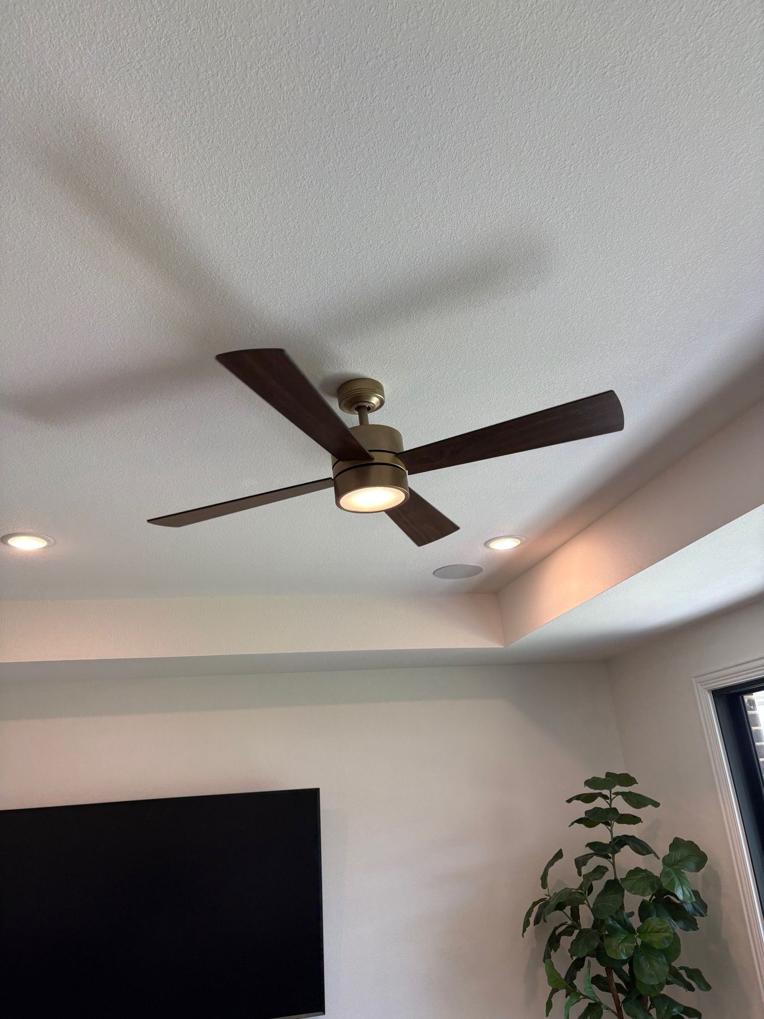 Ceiling fan in a living room with white walls, recessed lights, and a tall potted plant.