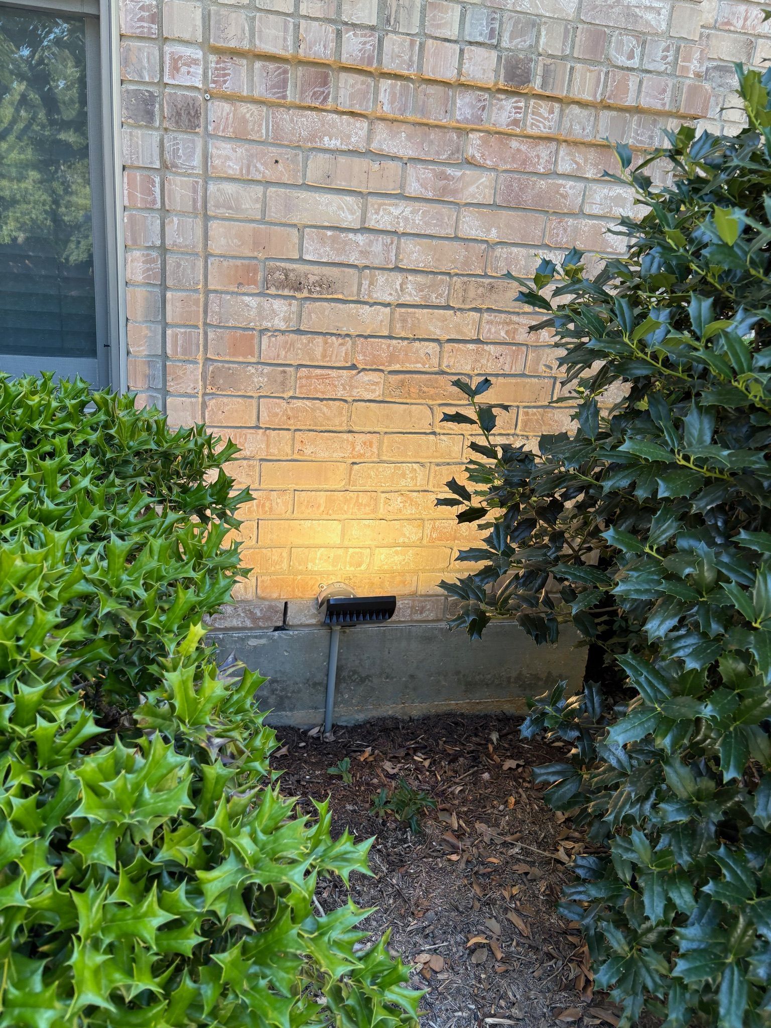 Brick house wall lit by a ground spotlight, framed by green shrubs and a window on the left.