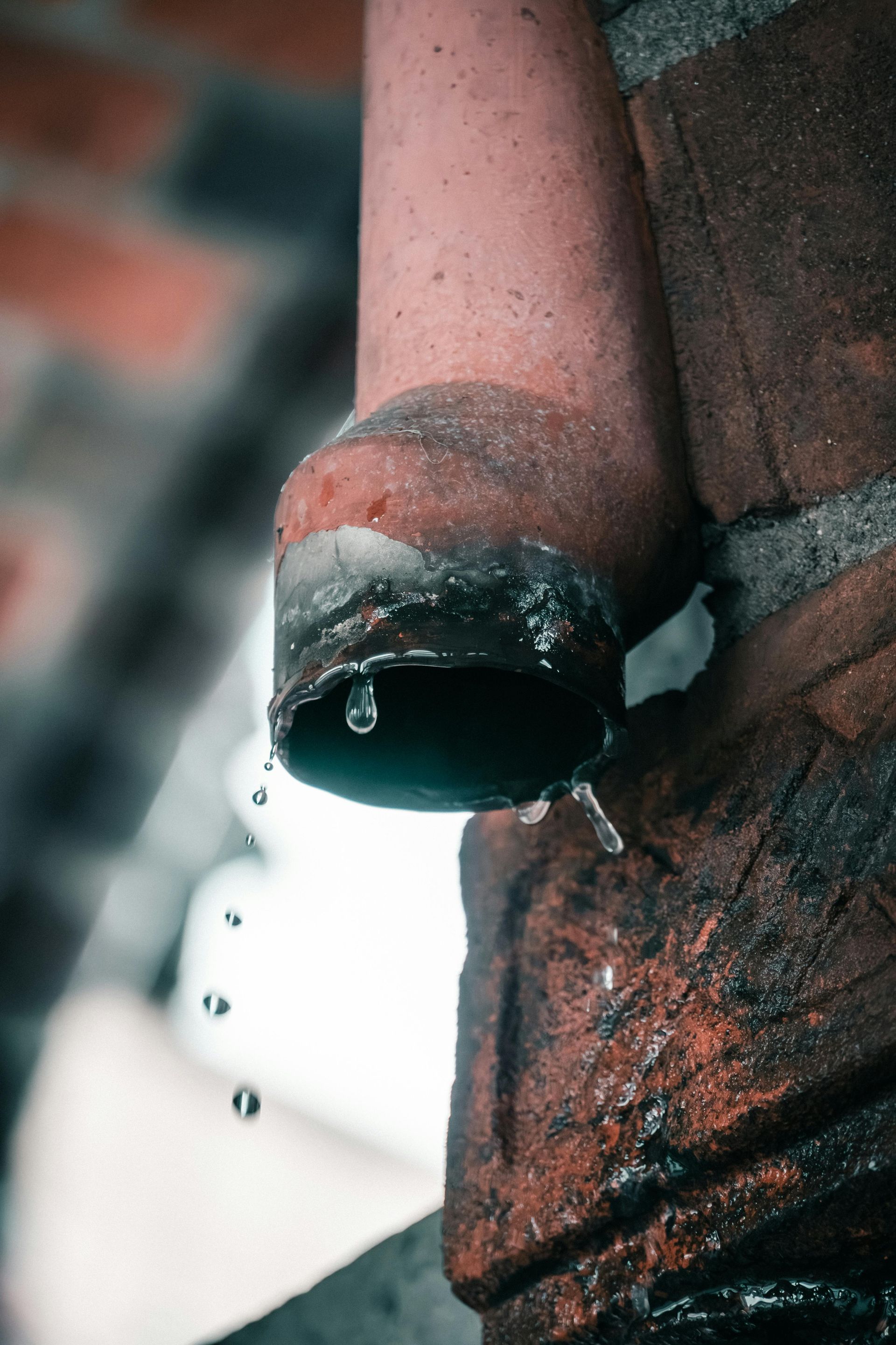 Comparison of minor water damage vs. costly repairs when delayed