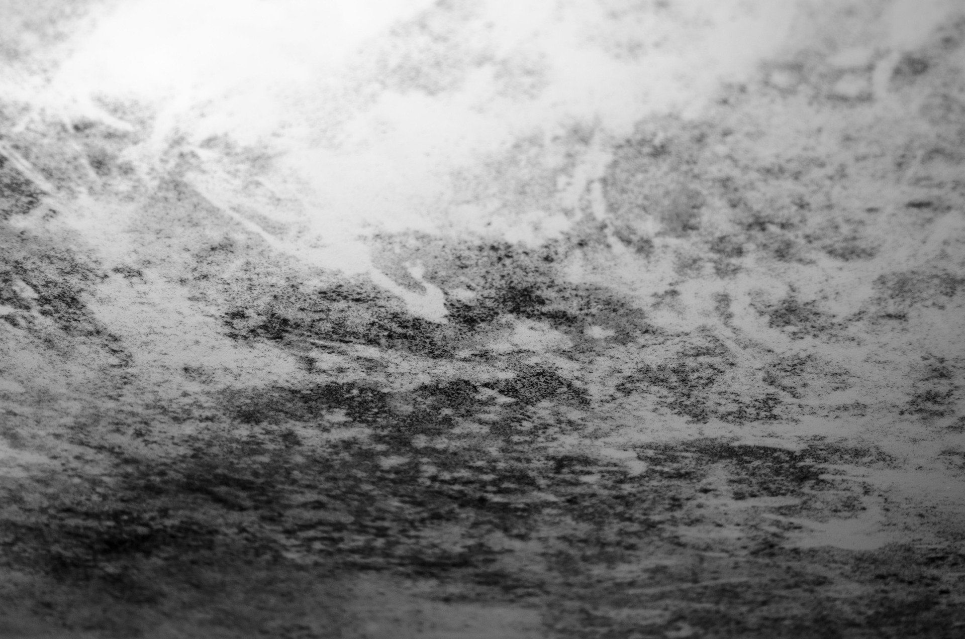 Water Damage Removal Las Vegas, NV | Mold Eliminators