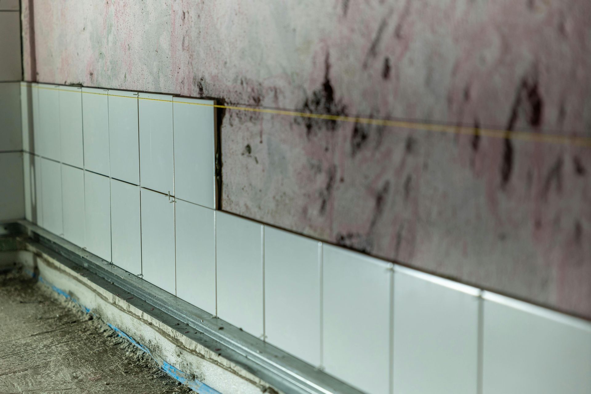 Mold growing on drywall behind kitchen cabinets in Las Vegas home