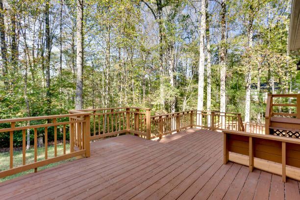 A spacious wooden deck with railings overlooks a lush, sunlit forest with tall trees.