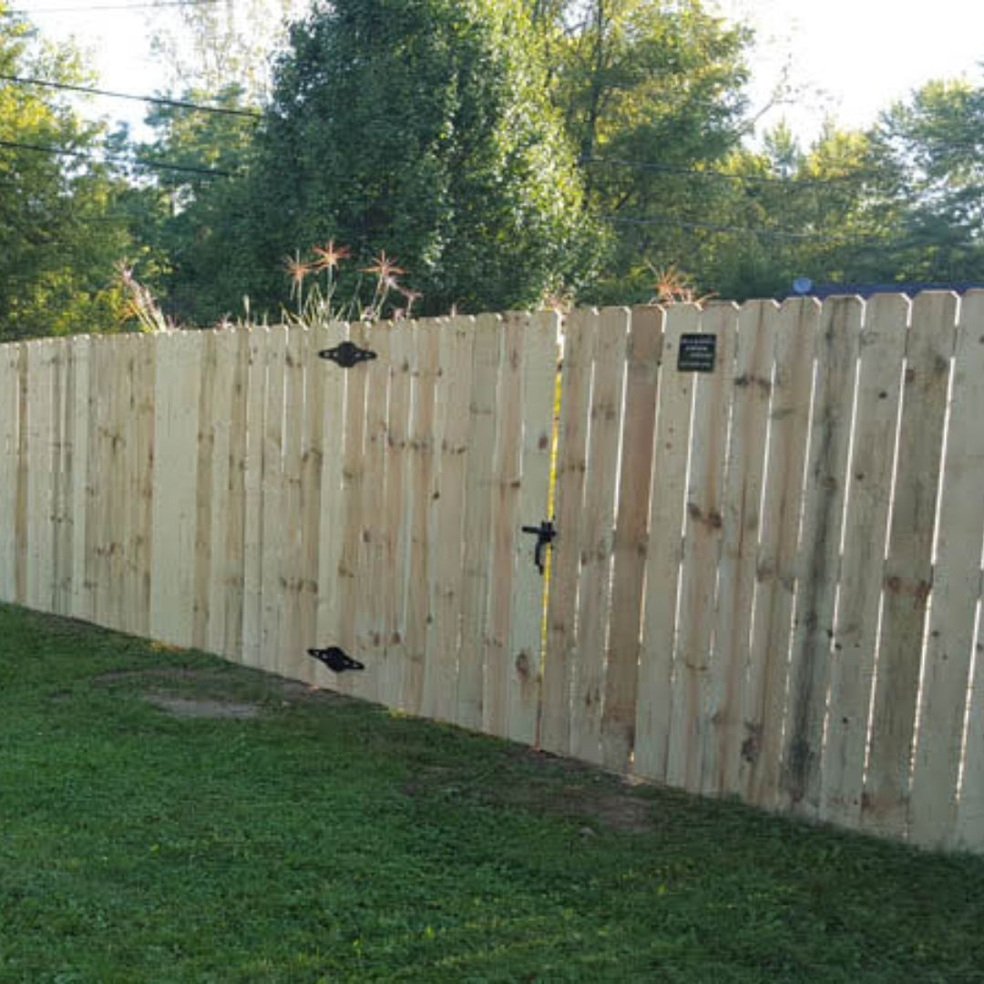 Wooden backyard fence with a gate and green grass, with trees behind it.