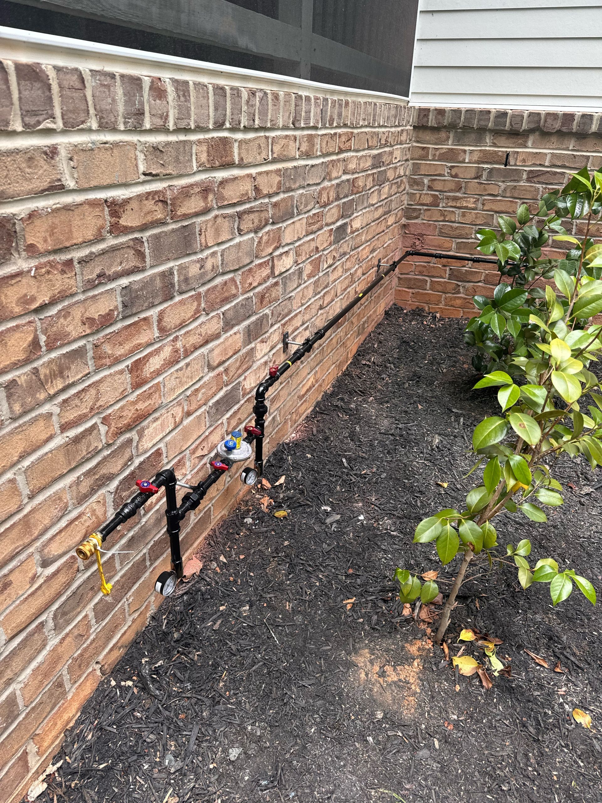Brick wall with black irrigation pipes and a plant in dark mulch.