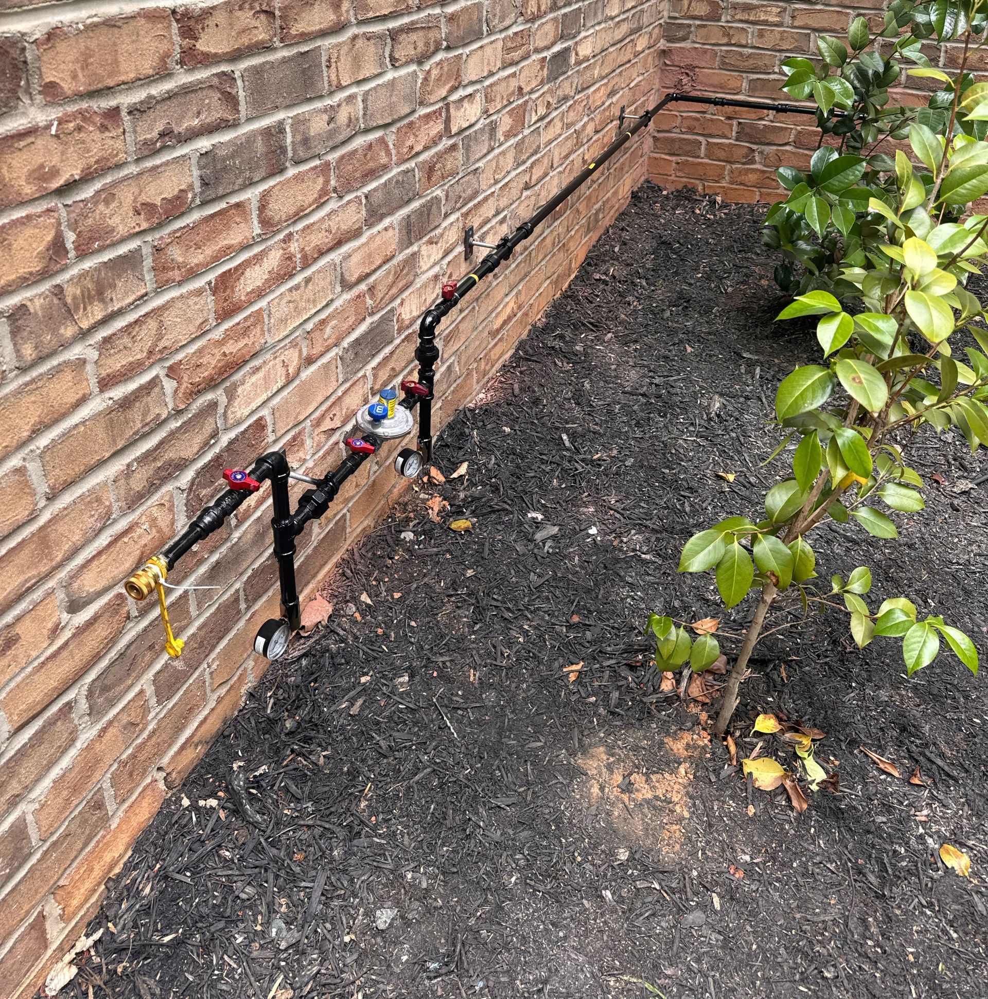 Black pipes with valves attached to a brick wall next to mulch and a small green bush.