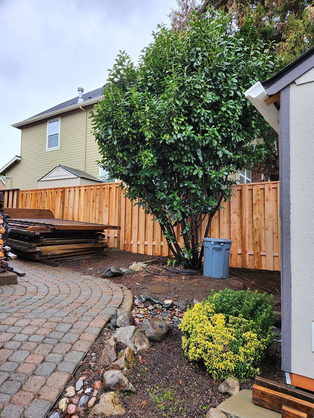 A backyard with a wooden fence and a shed