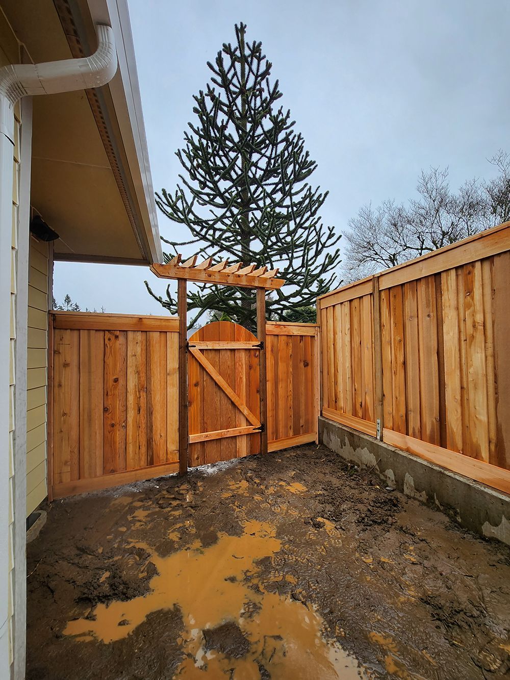 A wooden fence with a gate and a tree in the background