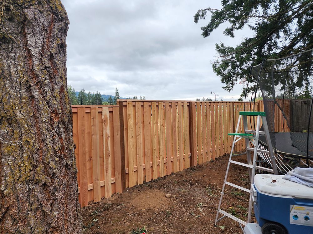 A wooden fence is being built in a backyard next to a tree