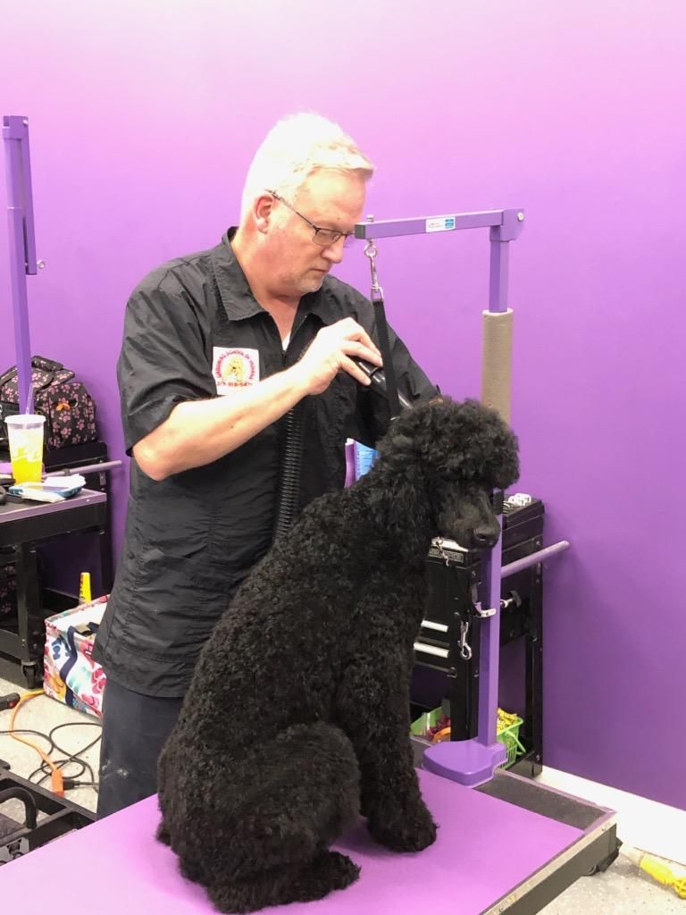 Pet grooming class