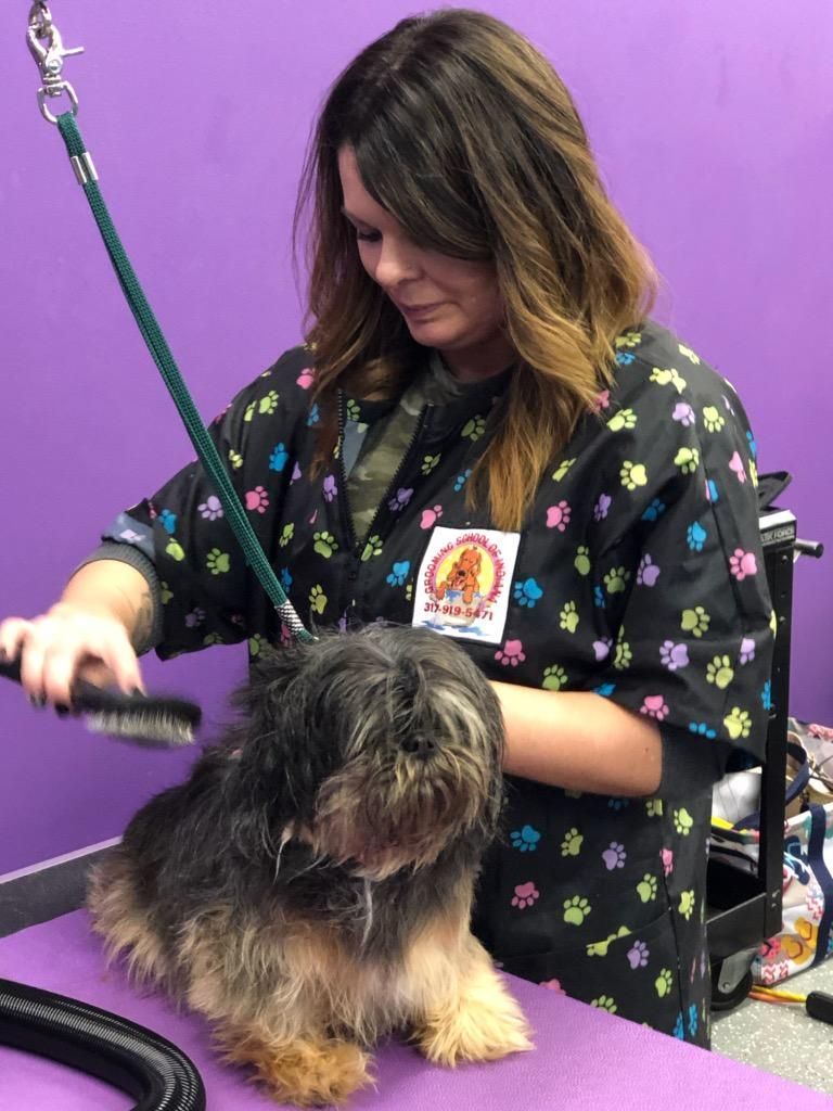 Pet grooming class