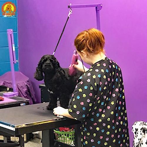 Pet grooming class