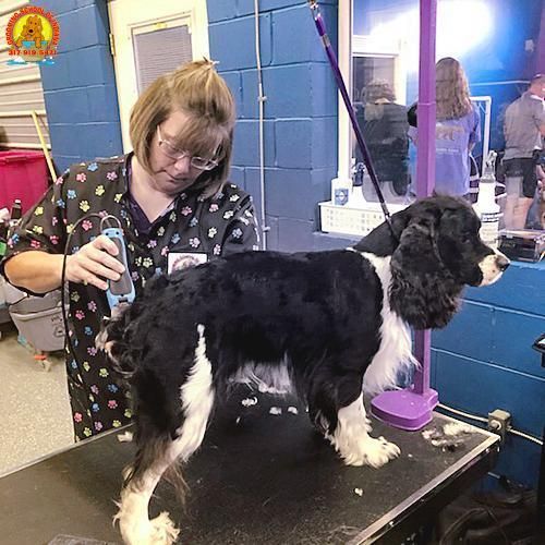 Pet grooming class