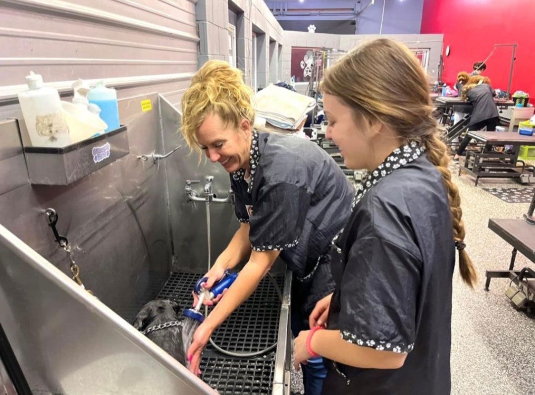 Two women are washing a dog in a sink