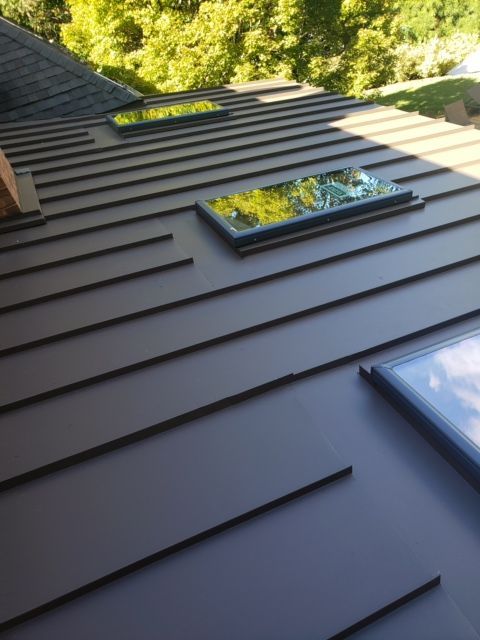 Dark gray metal roof with three skylights, green trees in the background.