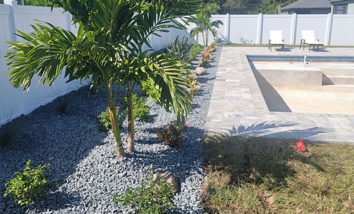 A swimming pool is surrounded by a lush green garden