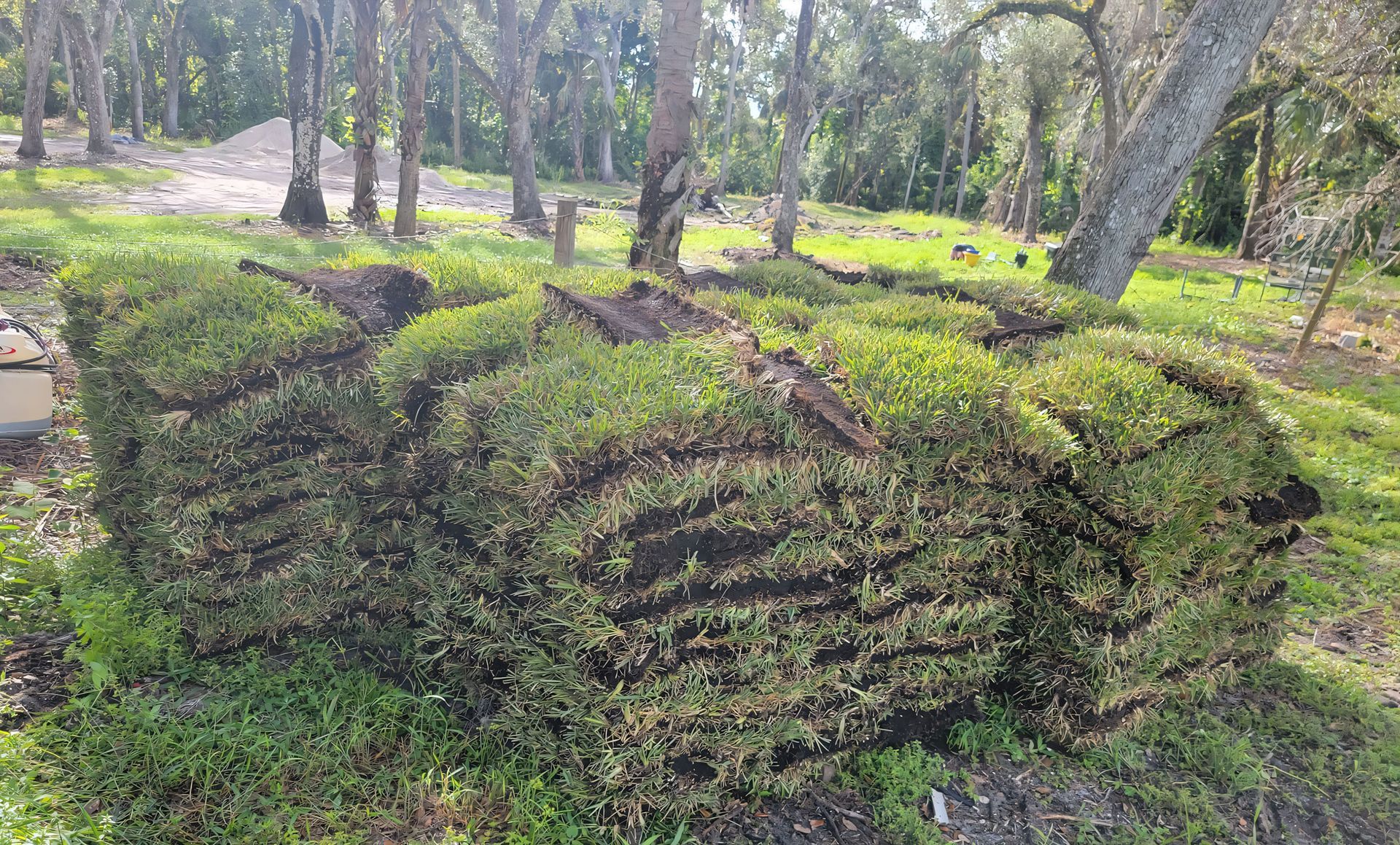 A large pile of grass is sitting in the middle of a forest.