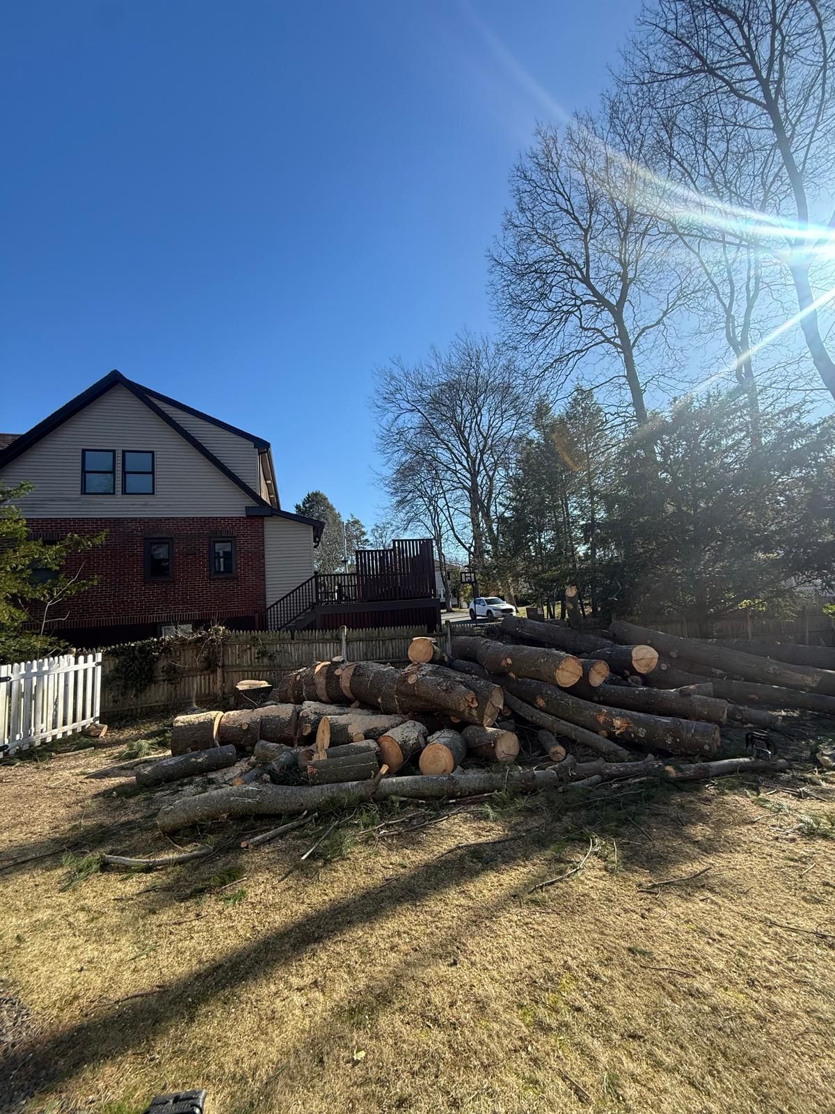 Backyard with stacked cut logs beside a house under a bright blue sky