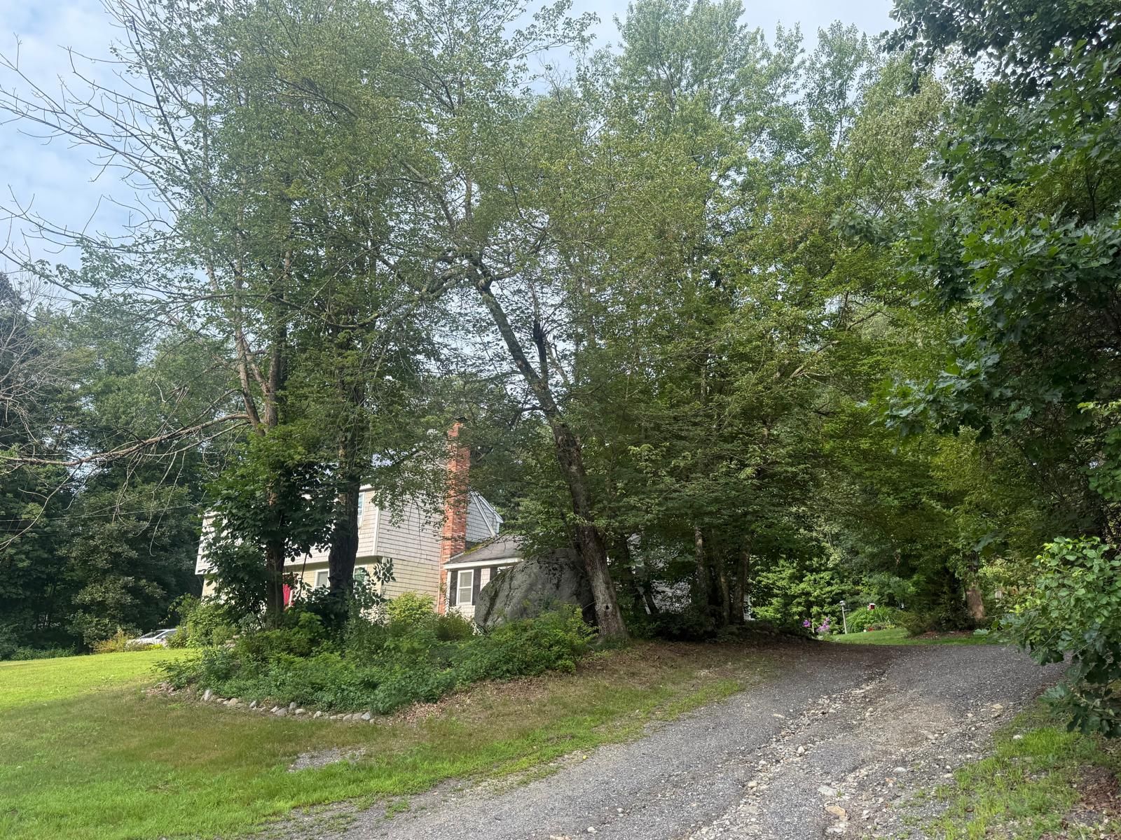 Gravel driveway curving past a house partly hidden by large green trees on a cloudy day