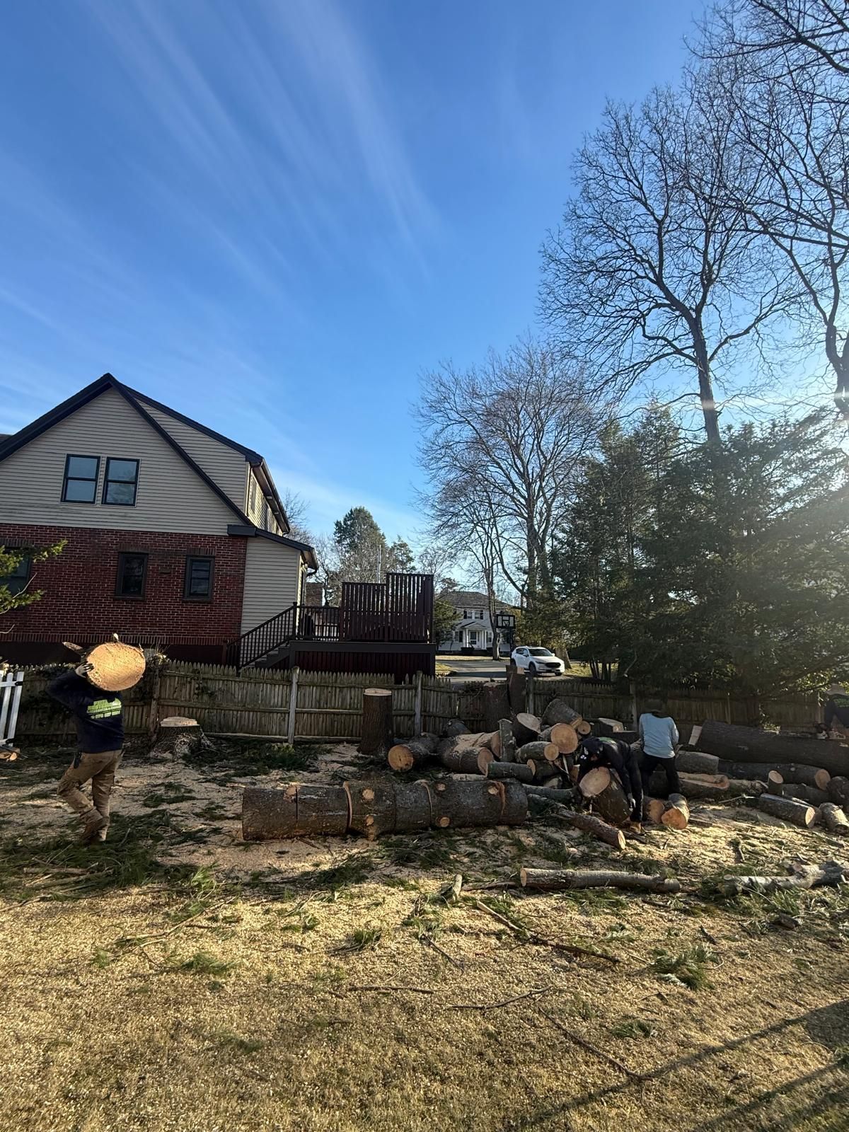 Suburban backyard with a deck, stacked firewood, leafless trees, and a blue sky on a sunny day