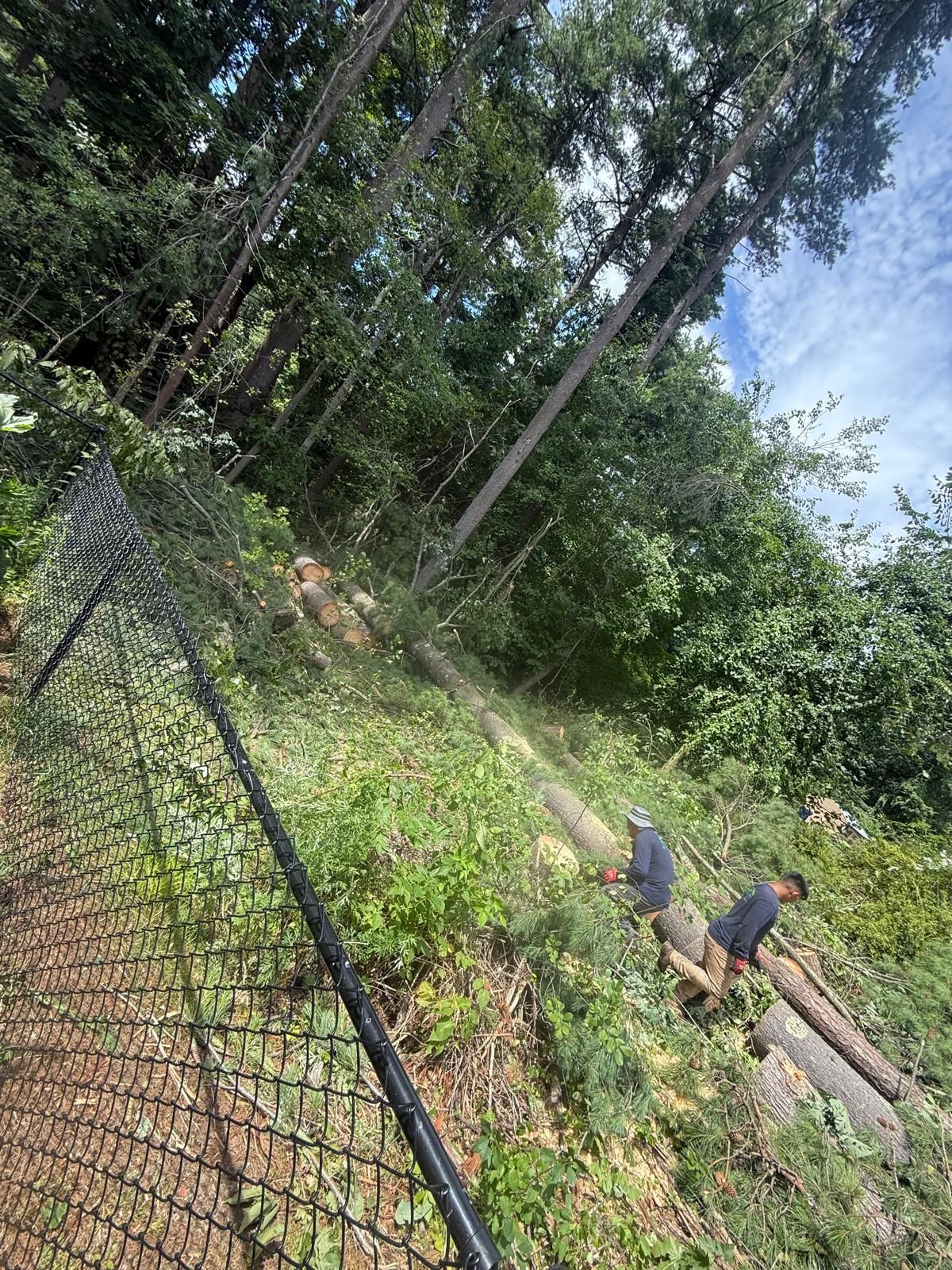 Two workers clearing a grassy slope beside a chain-link fence and fallen logs under trees