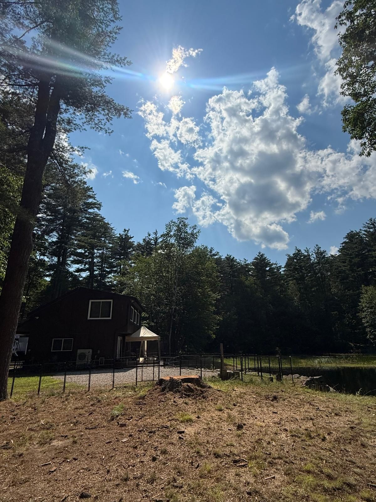 Sunny outdoor court beside a dark cabin, with trees, a basketball hoop, and a dirt clearing under a cloudy sky