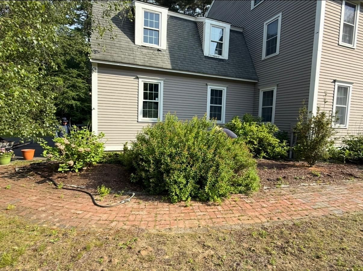Residential house exterior with beige siding, white trim, and a landscaped front garden in sunlight