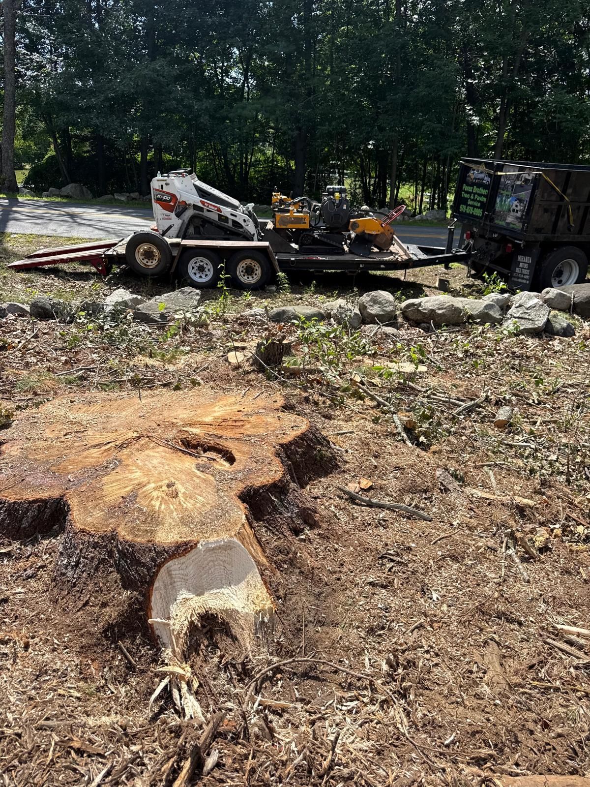 Construction equipment beside a tree stump in a wooded yard with dirt and debris