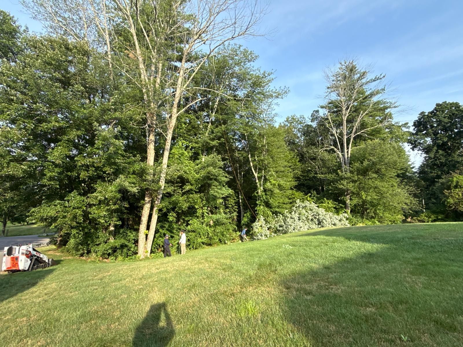 Grassy hill beside a wooded area, with two people standing near the trees on a sunny day.