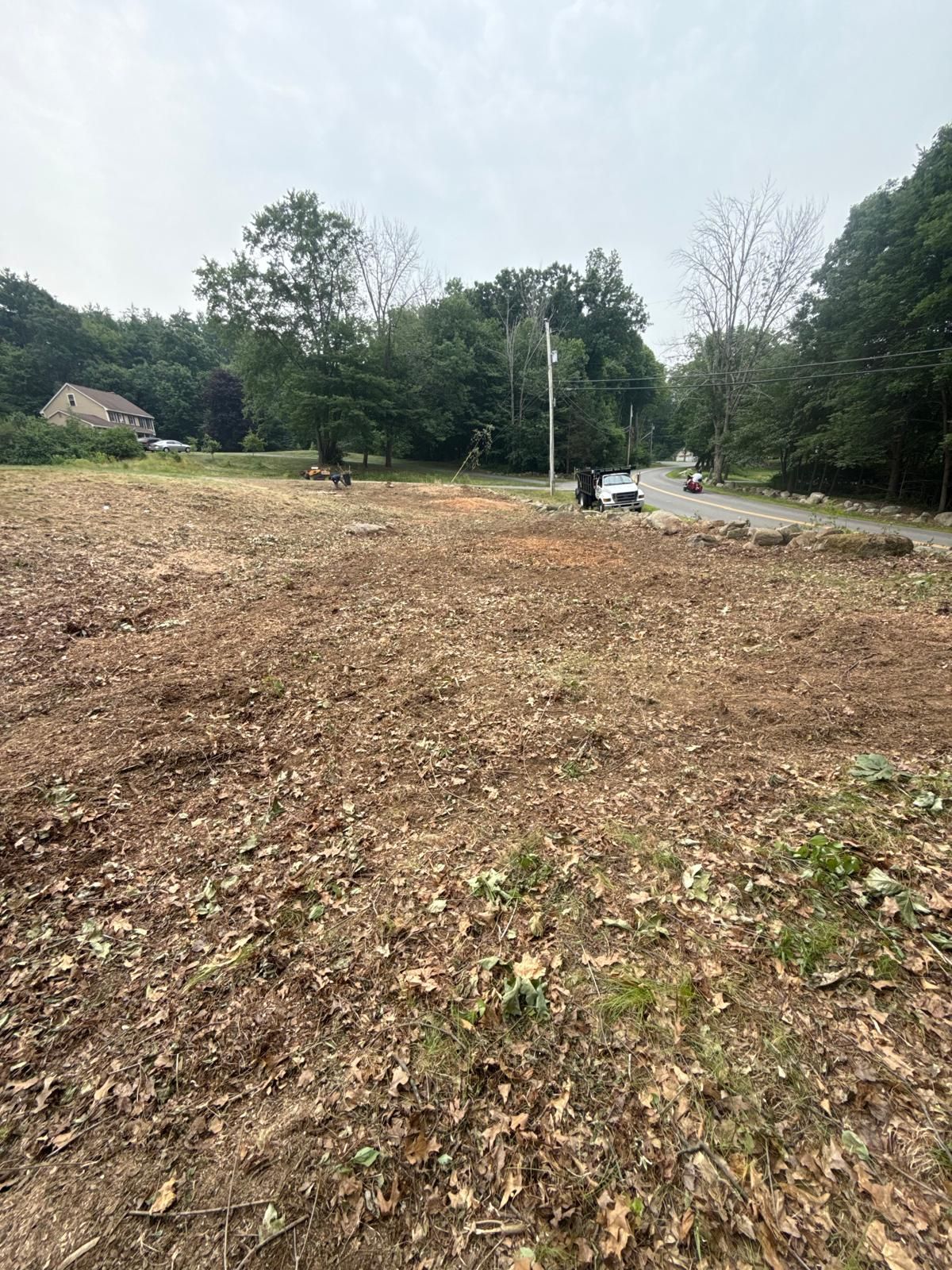 Recently cleared dirt lot with scattered leaves, trees around the edges, and a road with a utility pole in the background
