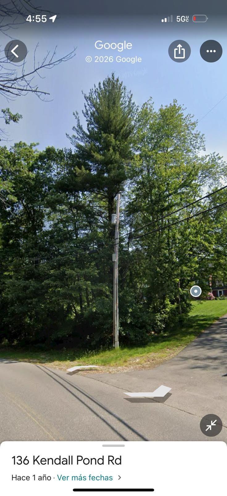 Tree-lined roadside beside Kendall Point Rd under a clear blue sky