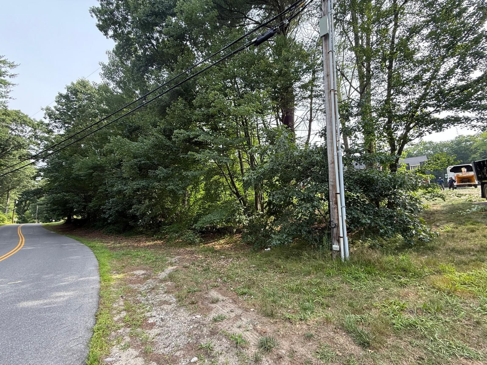 Curved road beside dense trees and brush, with a dirt path leading into the woods.