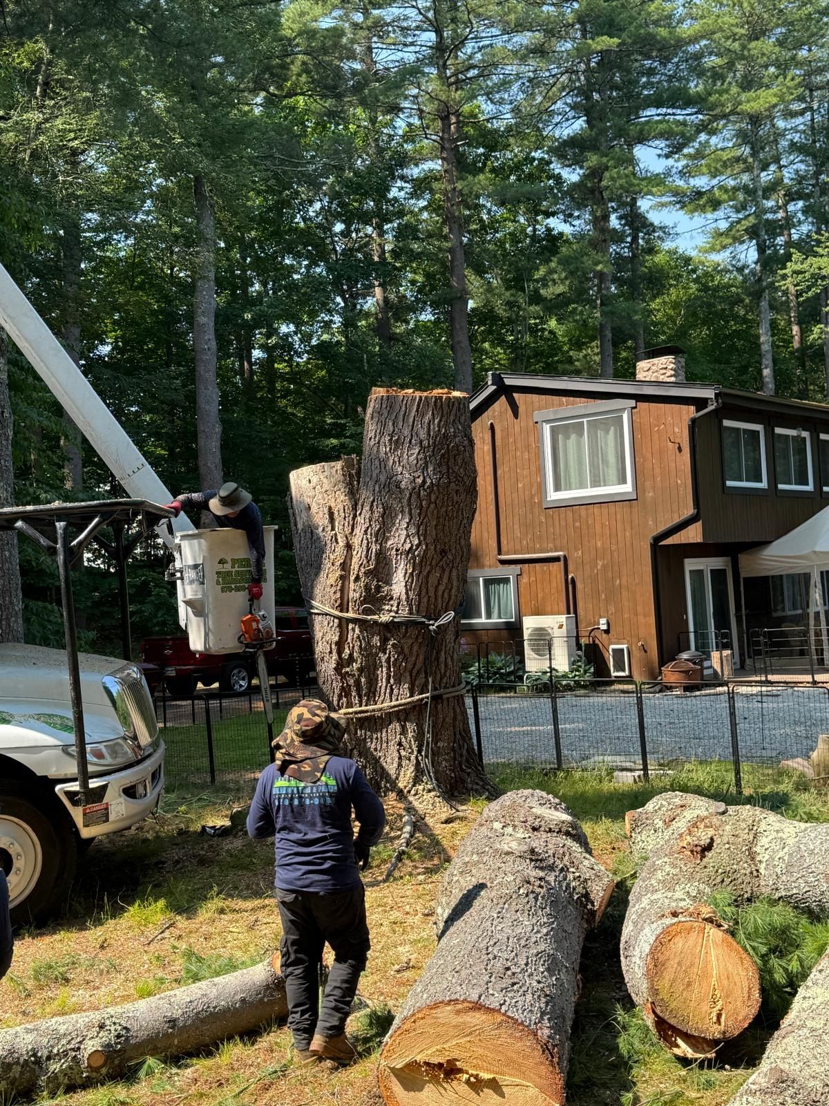 Worker stands by a cut tree trunk and log on a truck in a wooded yard near a house.