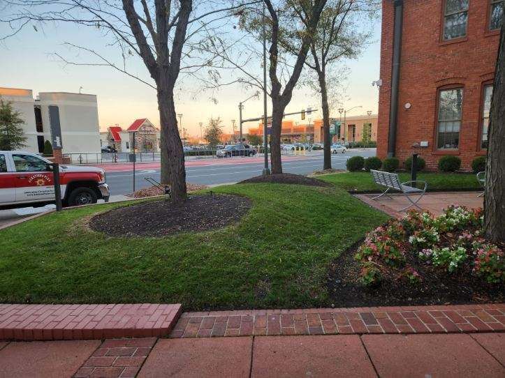 Street scene with trees, grass, and a red brick building. A fire truck is parked on the left.