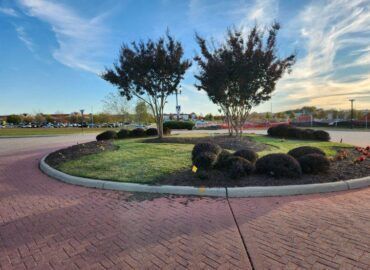 Landscaped traffic circle with two trees, green grass, and low bushes. Paved brick and concrete. Blue sky.