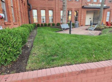 Lush green lawn with trimmed bushes and brick building with 