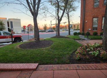 Grassy area with trees, flowers, and brick walkway next to a street with cars and buildings.