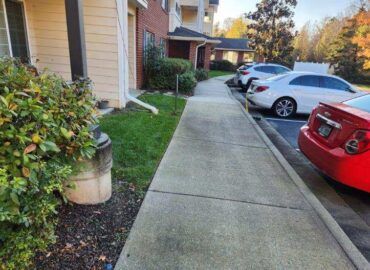 Sidewalk next to apartment building and parked cars; foliage, green grass, and overcast sky.