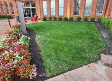Small green lawn in front of a brick building, bordered by flowers and bushes.
