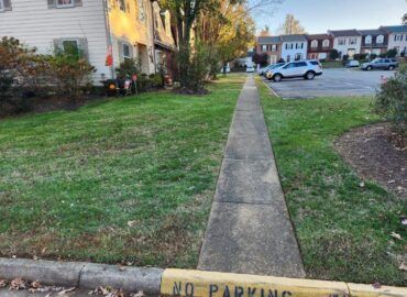 Sidewalk bordered by grass and curb in front of townhouses. 