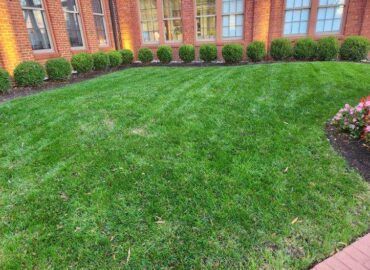 Lush green lawn with trimmed edges, rounded bushes, and a brick building in the background.