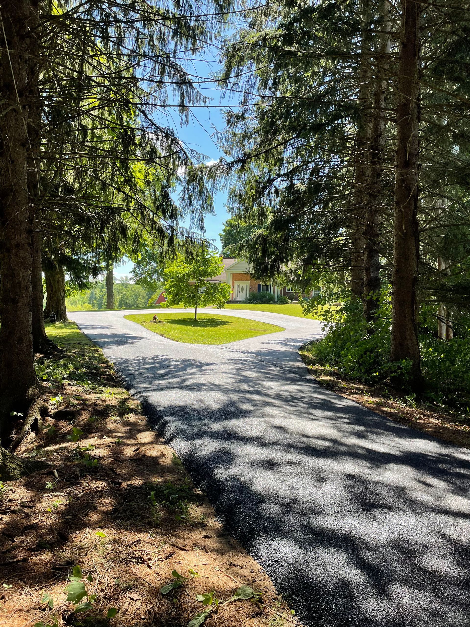 A driveway leading to a house surrounded by trees on a sunny day.