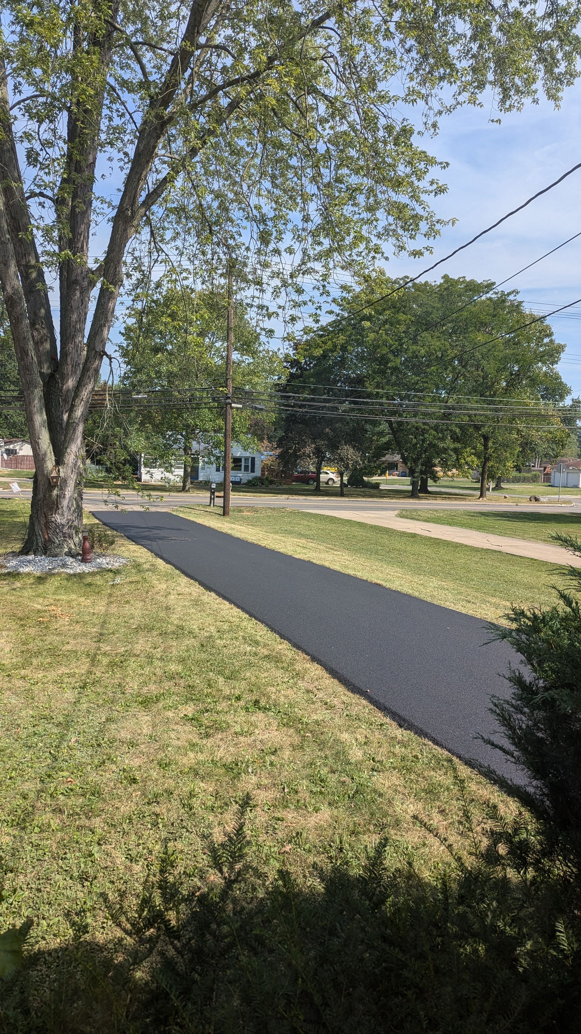 A path going through a grassy field with trees on both sides.