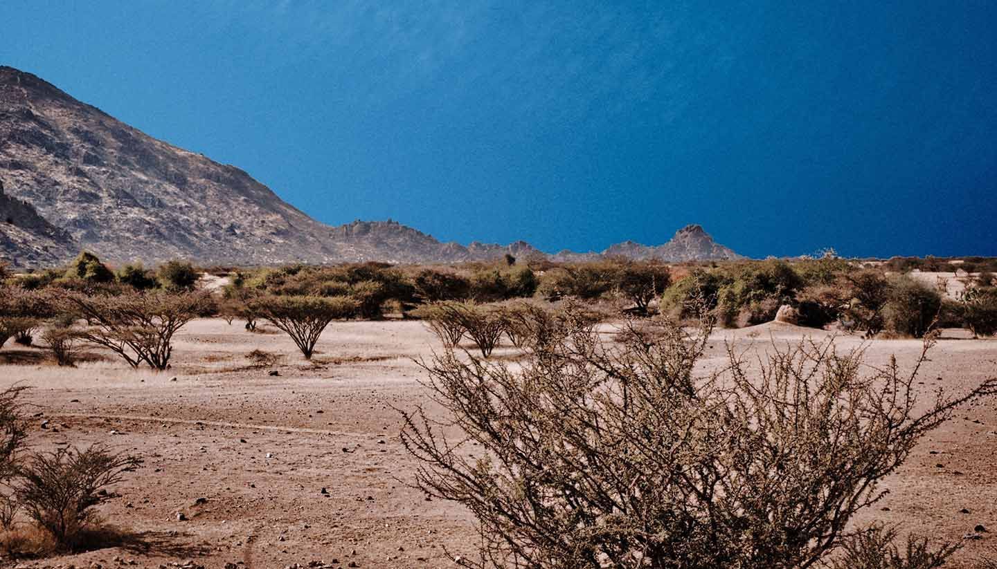 Desert landscape with sparse shrubs, sand dunes, and distant rocky hills under a clear blue sky