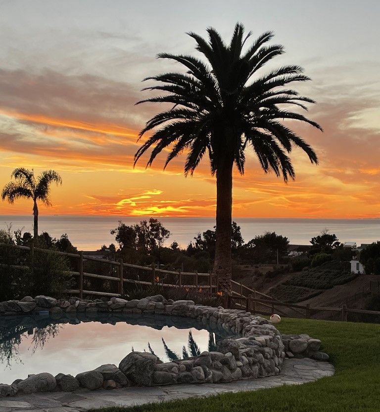 Sunset over a palm-lined pool with ocean view and orange sky