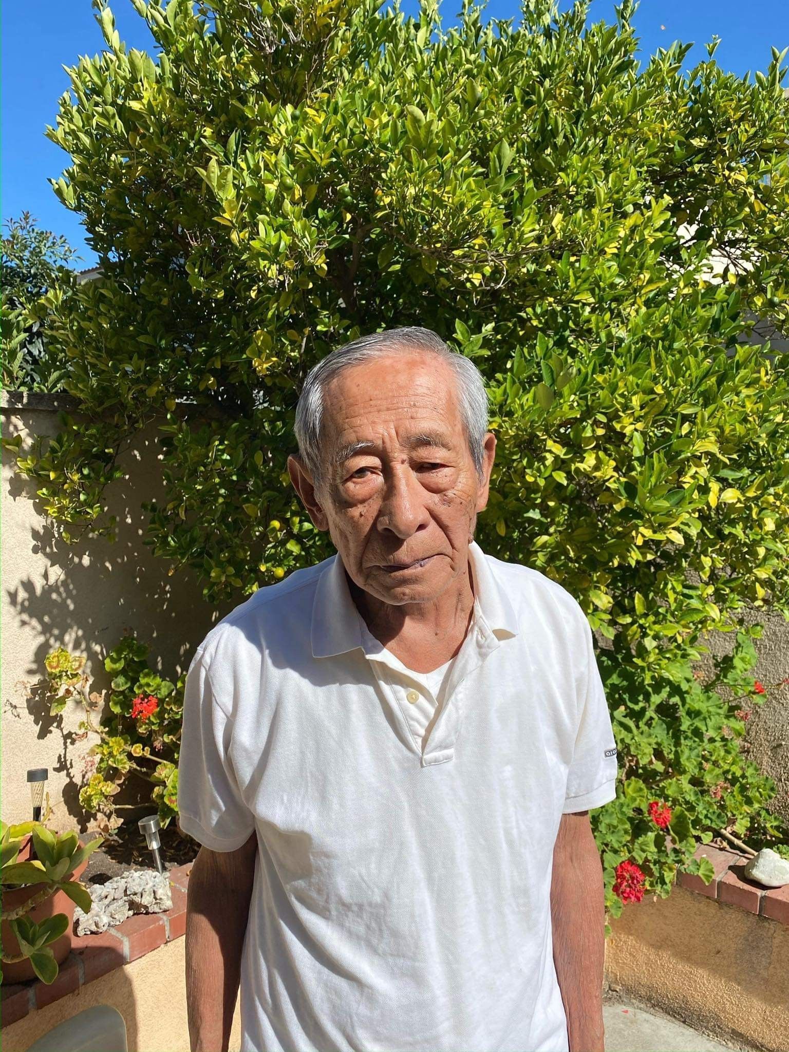 Older man in a white shirt standing outdoors in front of a leafy green bush and garden wall.